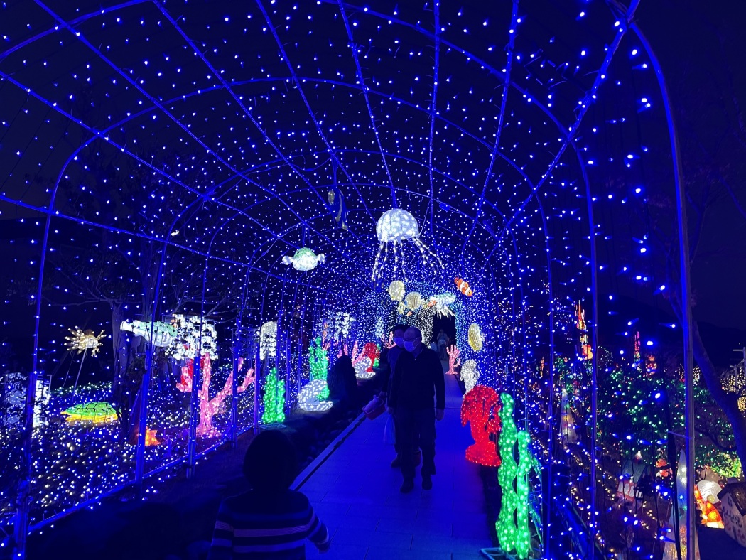 道の駅おおとう桜街道イルミネーション