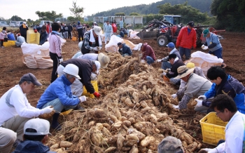 本格焼酎「岡垣」