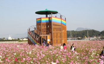 おおとう桜街道 花公園