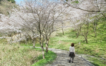 味見峠桜公園