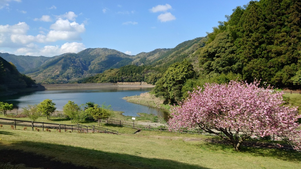 呉ダム渓流公園