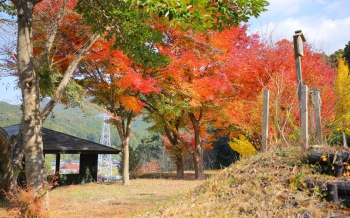 万葉公園