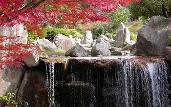 一本松公園(昭和の森)