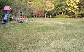 四王寺県民の森