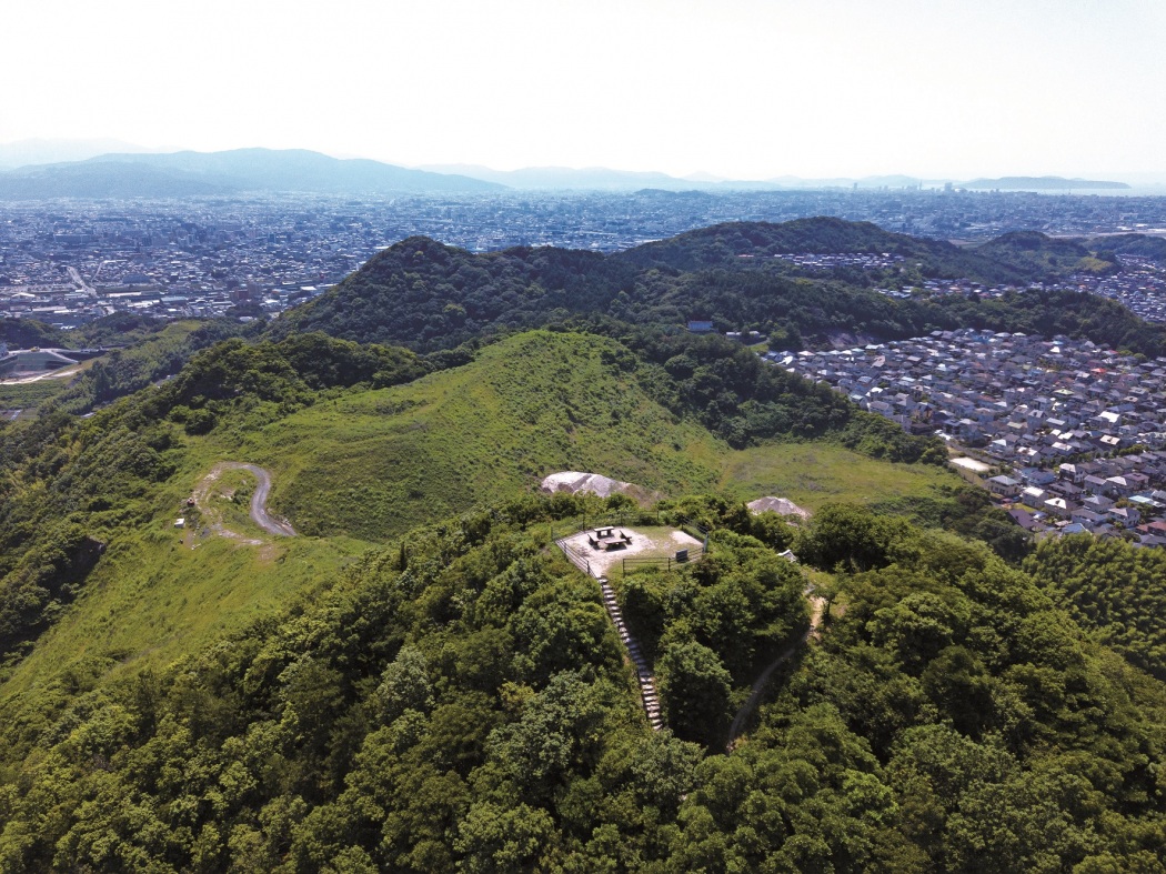 井野山