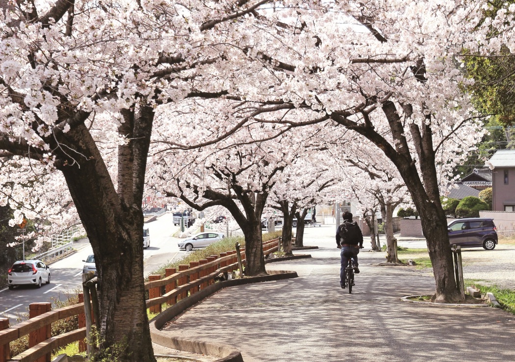 宇美公園