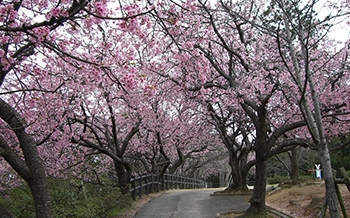 宇美公園