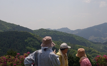 樹芸の森公園・鳴淵ダム展望台広場