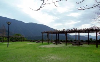 樹芸の森公園・鳴淵ダム展望台広場