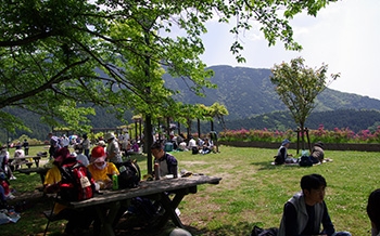 樹芸の森公園・鳴淵ダム展望台広場