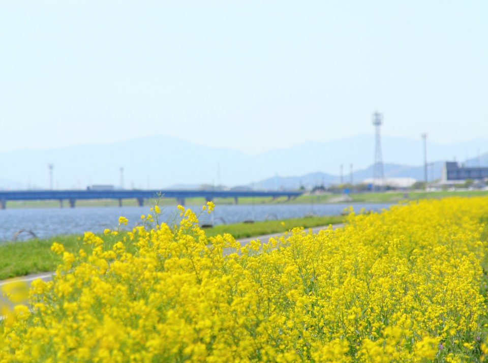 遠賀町