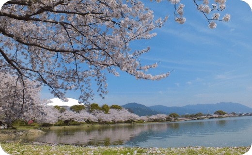 駕与丁(かよいちょう)公園