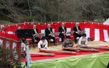 天神山 大しだれ桜祭り