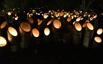 こうげ大池灯りの祭典