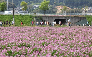 篠栗春らんまんハイキング