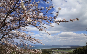 成田山不動寺