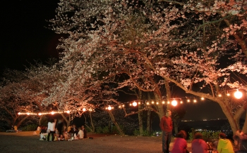 成田山不動寺