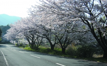 成田山不動寺