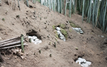 城山横穴群