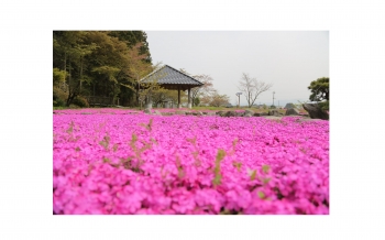 西田清流公園