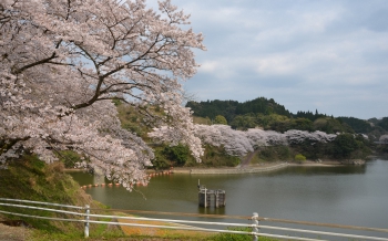 広川ダム(広川ダム公園)