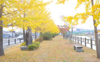 山頭火遊歩道