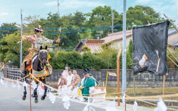 鶴岡八幡神社