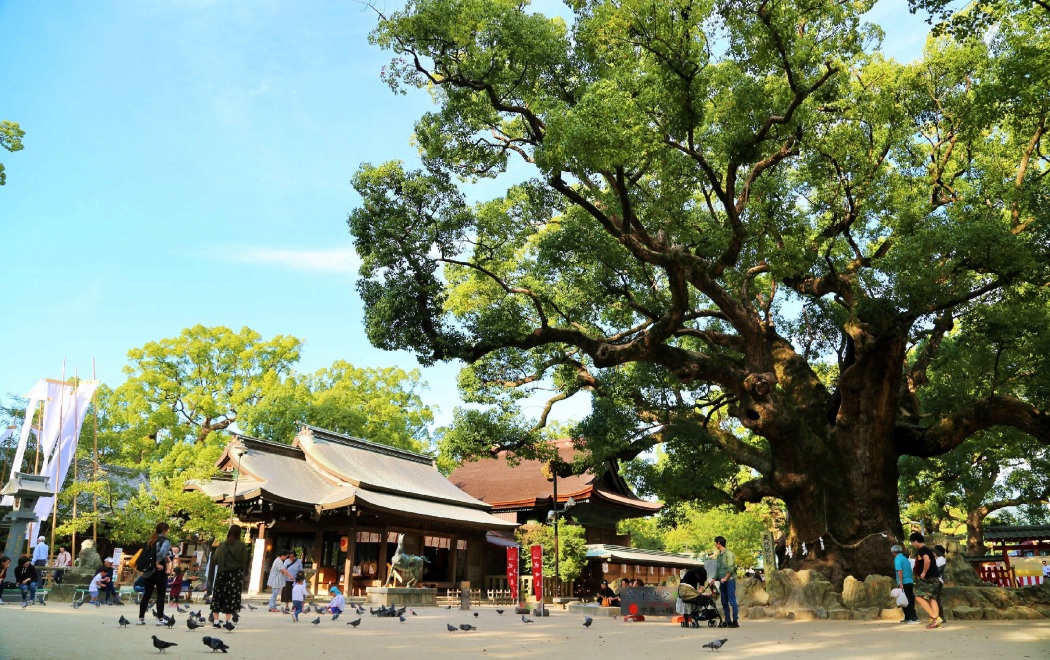 宇美八幡宮