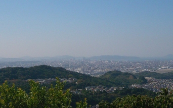 井野山