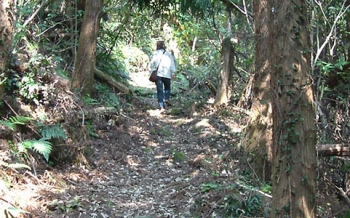 高城山