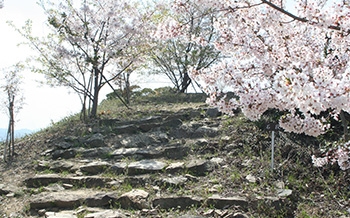 松山城跡