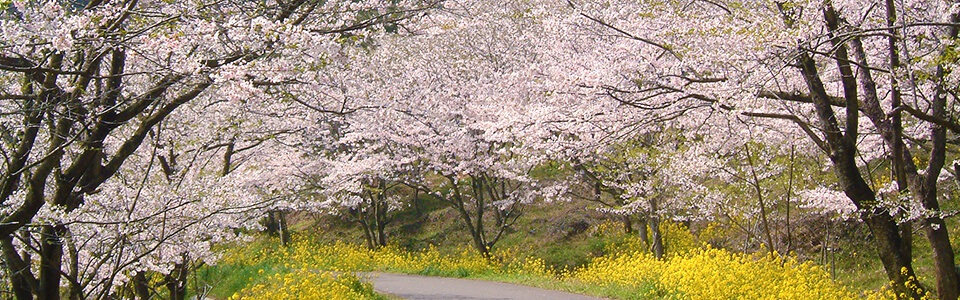 みやこ町