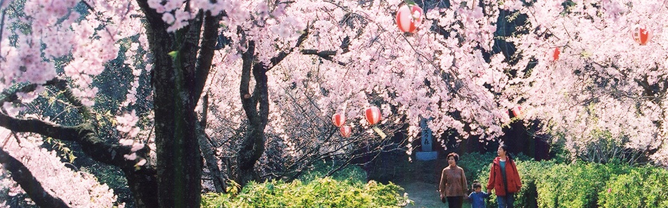 添田町